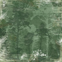 Doppelseitiges Scrapbooking-Papierset Forest Life, 20 cm x 20 cm, 10 Blätter