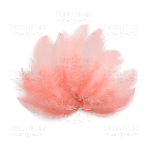 Feathers set mini "Peaches"