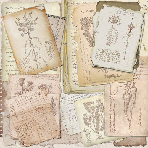 Doppelseitiges Scrapbooking-Papierset Summer botanical story, 20 cm x 20 cm, 10 Blätter - foto 4  - Fabrika Decoru