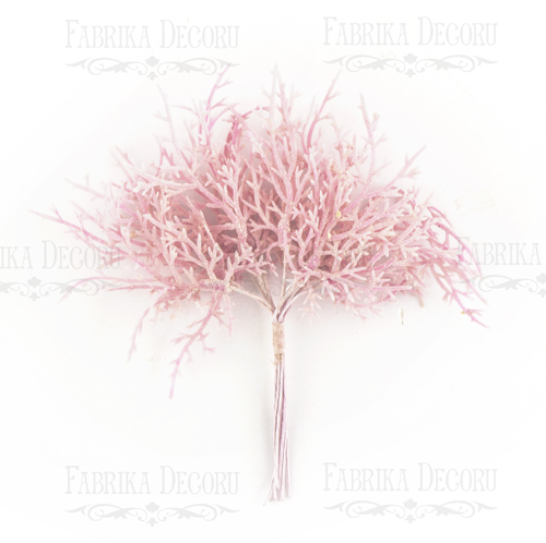 Set of twigs of asparagus pink shabby, 10pcs