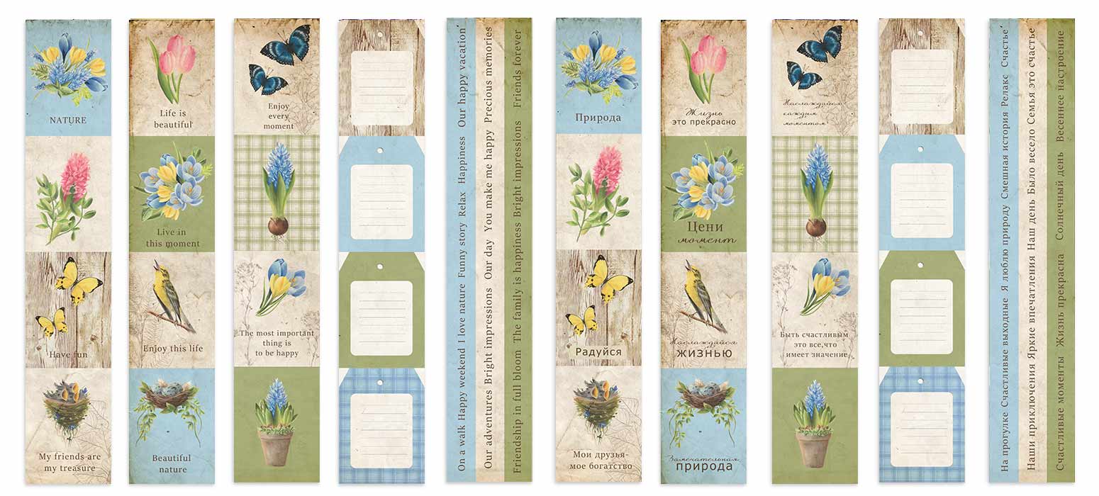 Set of stripes with pictures for decoration "Botany Spring"