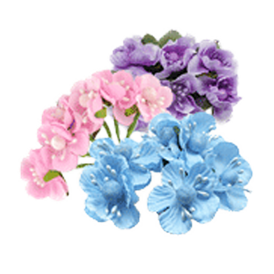 цветы персика