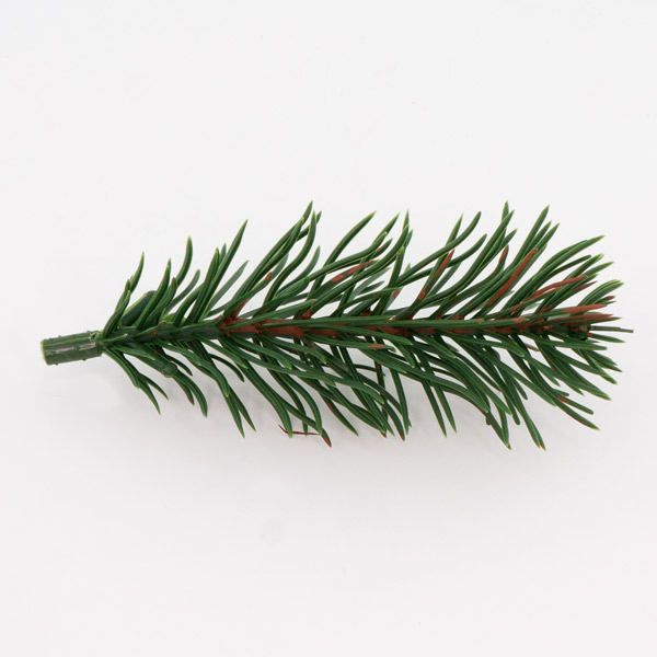 Set aus künstlichen Weihnachtsbaumzweigen, grün, 15 Stück - foto 5  - Fabrika Decoru