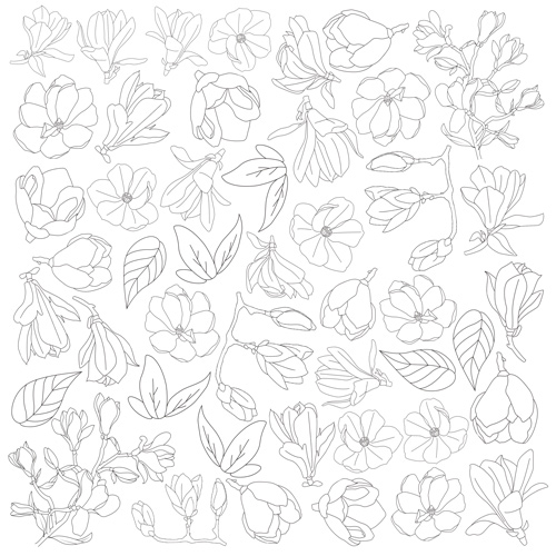 Sheet of paper 12"x12" for coloring using inks or glazes, Magnolia in bloom