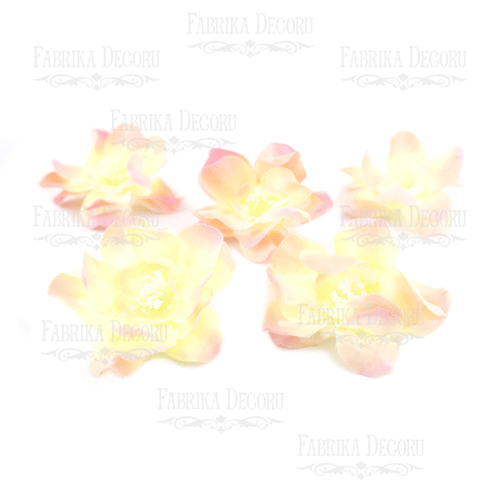 Kwiat magnolii kremowo-różowy, 1szt - Fabrika Decoru