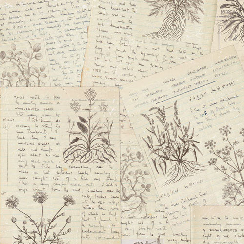 Doppelseitiges Scrapbooking-Papier-Set Summer Botanical Diary, 20 cm x 20 cm, 10 Blätter - foto 6  - Fabrika Decoru