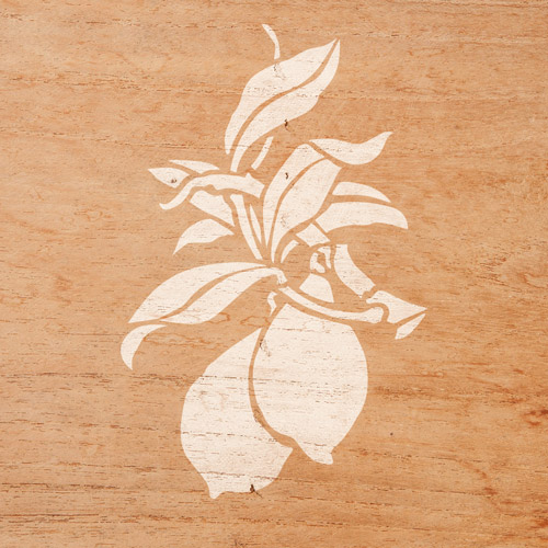 Stencil for decoration XL size (30*30cm), Lemons #028 - foto 4