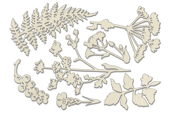 Chipboard embellishments set, "Summer botany" #077