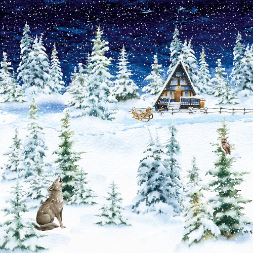 Zestaw papieru do scrapbookingu Country winter 20x20cm - foto 4  - Fabrika Decoru