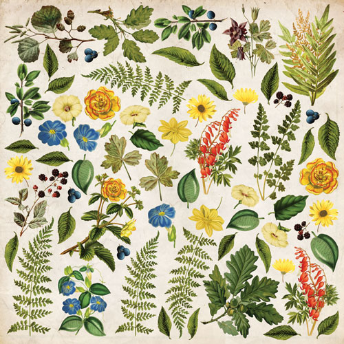 Doppelseitiges Scrapbooking-Papierset Summer botanical story, 20 cm x 20 cm, 10 Blätter - foto 11  - Fabrika Decoru