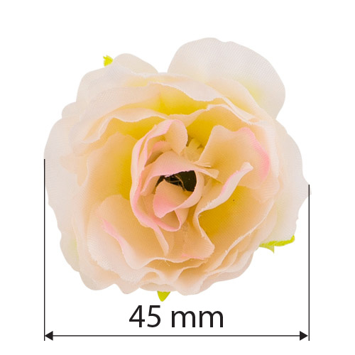 Eustoma flowers, Cream with pink 1pc - foto 1