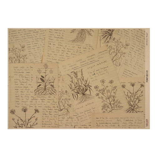 Набор односторонней крафт-бумаги для скрапбукинга Botanical backgrounds 42x29,7 см, 10 листов - Фото 1