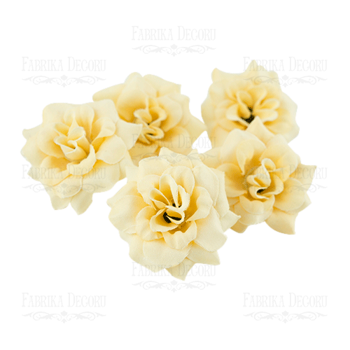 Rose flowers, color Gently beige, 1pcs