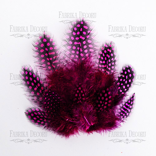 Feathers set guinea feces "Fuchsia"