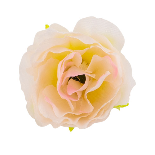 Цветы эустомы, Кремовые с розовым 1шт - Фото 0