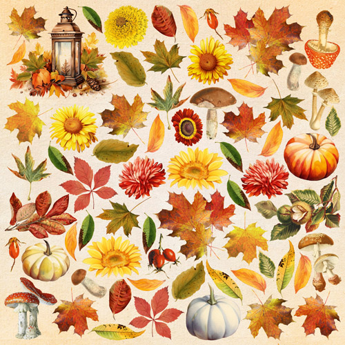 Double-sided scrapbooking paper set Bright Autumn 12”x12", 10 sheets - foto 11