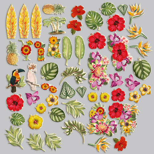 Набір висічок, колекція Botany exotic flowers, 54 шт - фото 1
