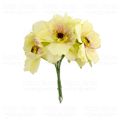 Set of poppies light yellow, 6pcs
