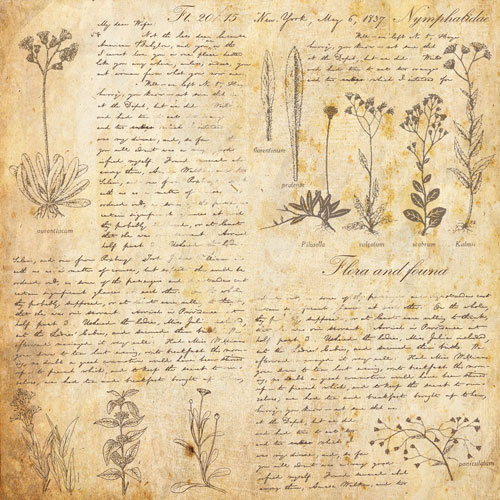 Набір двостороннього паперу для скрапбукінгу Summer botanical story 20х20 см 10 аркушів - фото 7