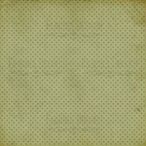 Blatt doppelseitiges Papier für Scrapbooking Botanik Frühling #25-02 12"x12" - foto 0  - Fabrika Decoru