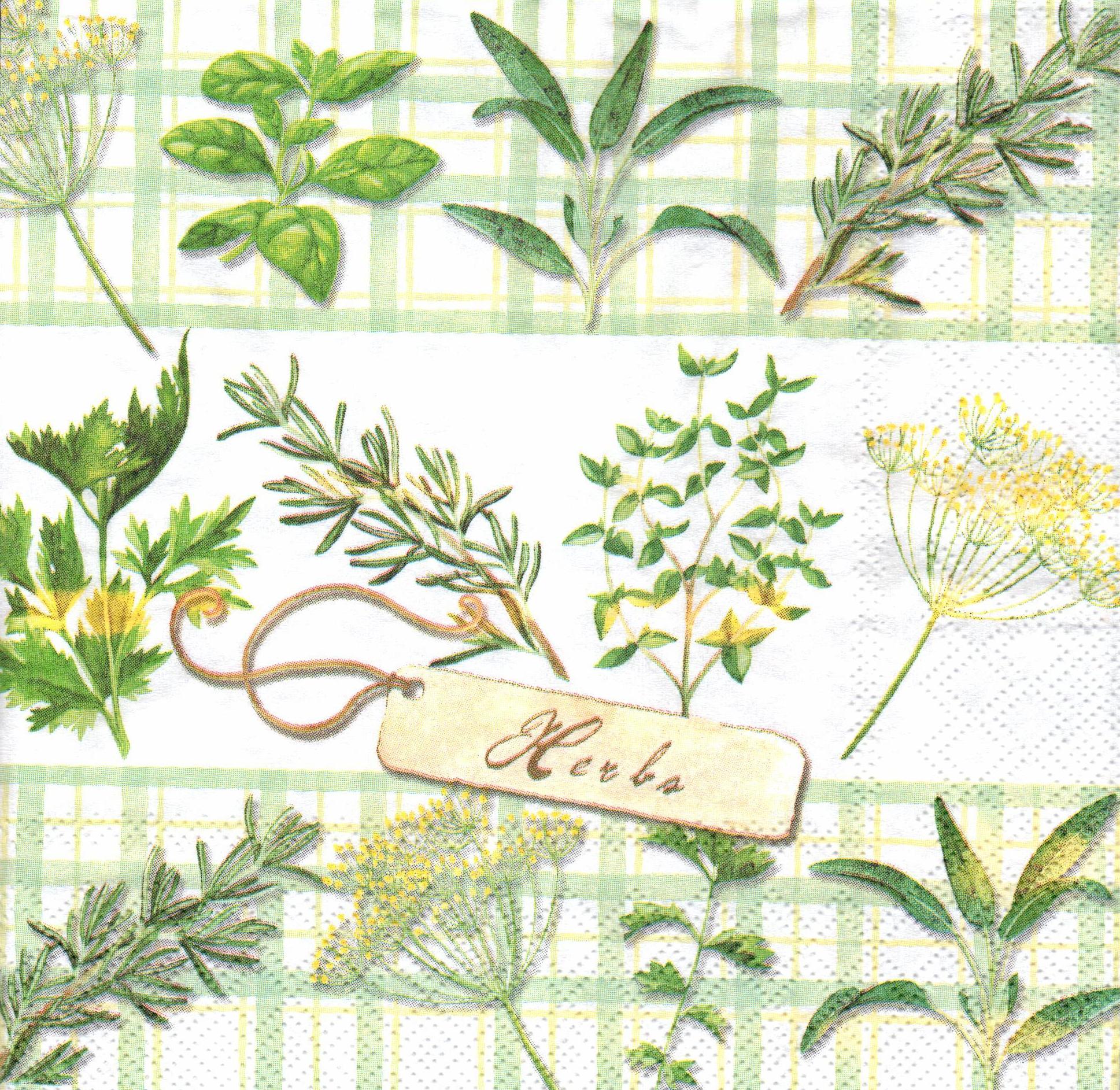 Serwetka do decoupage "Zioła" - Fabrika Decoru