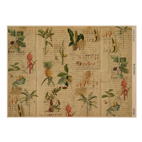 лист крафт бумаги с рисунком botanical backgrounds #08, 42x29,7 см