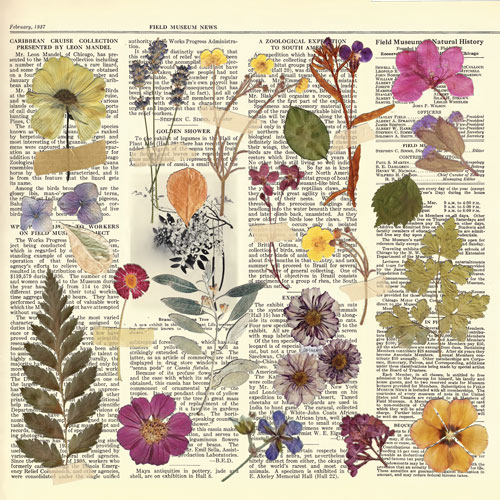 Набір двостороннього паперу для скрапбукінгу Summer botanical story 20х20 см 10 аркушів - фото 6