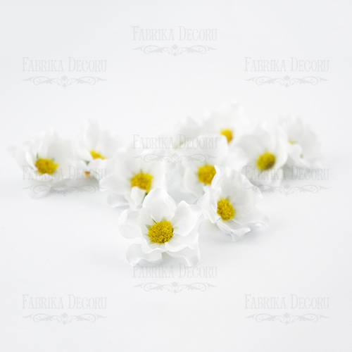 цветы шиповника белые, 1шт