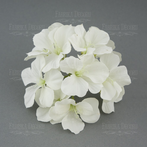 Blumen eines Zweiges weiß - Fabrika Decoru