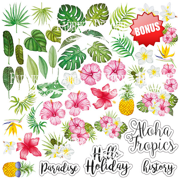 Double-sided scrapbooking paper set Wild Tropics 8"x8", 10 sheets - foto 11