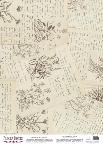 Arkusz kalki z nadrukiem, Deco Vellum, format A3 (11,7" х 16,5"), "Botany summer Dziennik przyrodnika" - Fabrika Decoru
