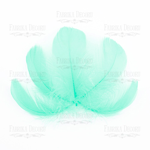 Feathers set mini "Mint"