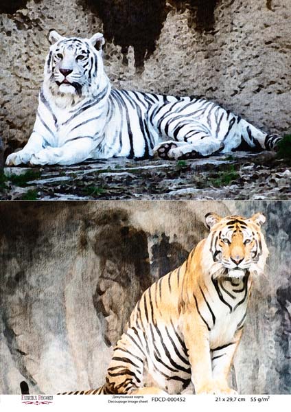 Decoupage card Tigers, watercolor #0452, 21x30cm