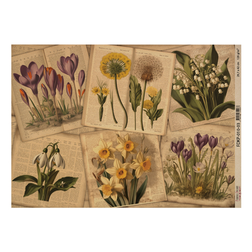 Kraftpapierbogen "Botany spring" #3, 42x29,7 cm - Fabrika Decoru