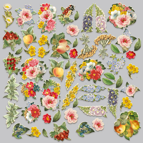 Zestaw wycinanek, kolekcja Summer botanical diary 58 szt - foto 1  - Fabrika Decoru