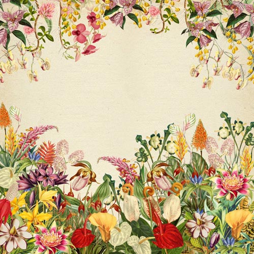 Zestaw papieru do scrapbookingu Botany exotic, 20cm x 20cm - foto 8  - Fabrika Decoru