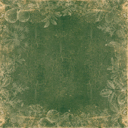Zestaw papieru do scrapbookingu Summer botanical diary, 20cm x 20cm - foto 5  - Fabrika Decoru