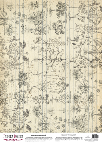 Deco Pergament farbiges Blatt Vintage Botanical page, A3 (11,7" х 16,5") - Fabrika Decoru