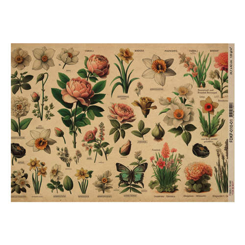 Kraftpapierbogen "Botany spring" #1, 42x29,7 cm - Fabrika Decoru