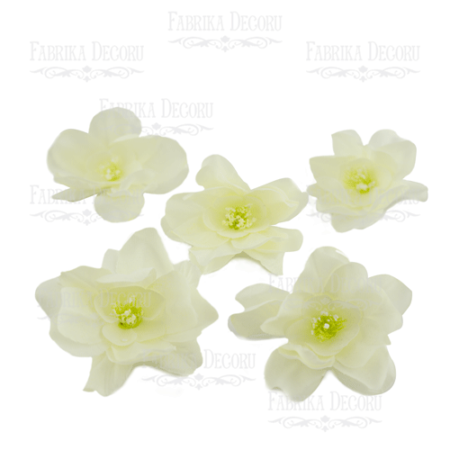 Kwiat magnolii biały, 1 szt. - Fabrika Decoru
