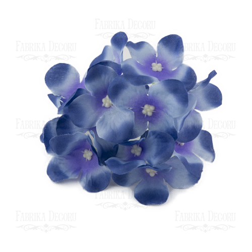 Phloxen kornblumenblau - Fabrika Decoru