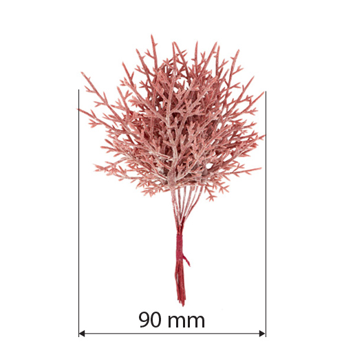 Set of twigs of asparagus coral, 10pcs - foto 0