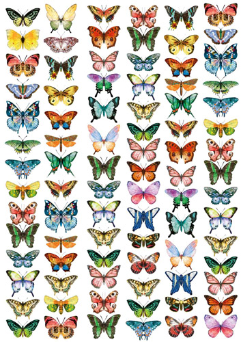 overlay "butterflies mini" 21х29,7 сm