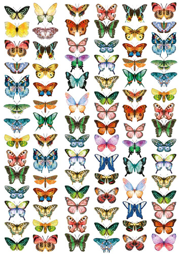 Overlay "Butterflies mini" 21х29,7 сm