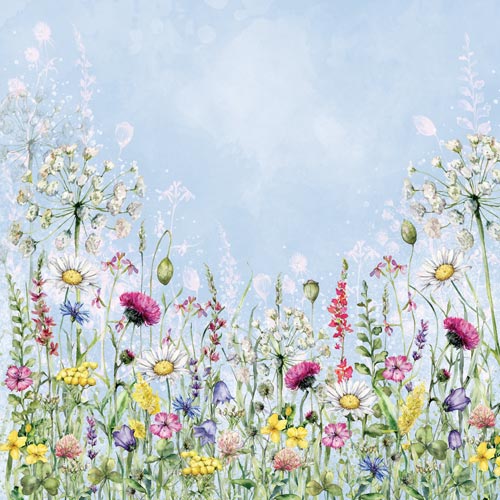 Double-sided scrapbooking paper set Summer meadow 8"x8" 10 sheets - foto 6