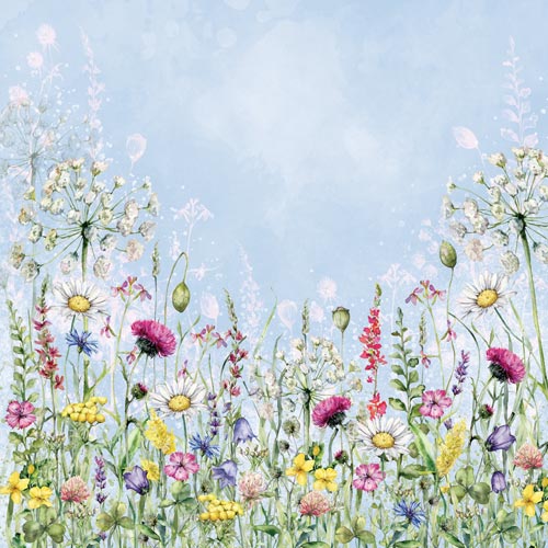 Zestaw papieru do scrapbookingu "Summer meadow" 20cm x 20cm  - foto 6  - Fabrika Decoru