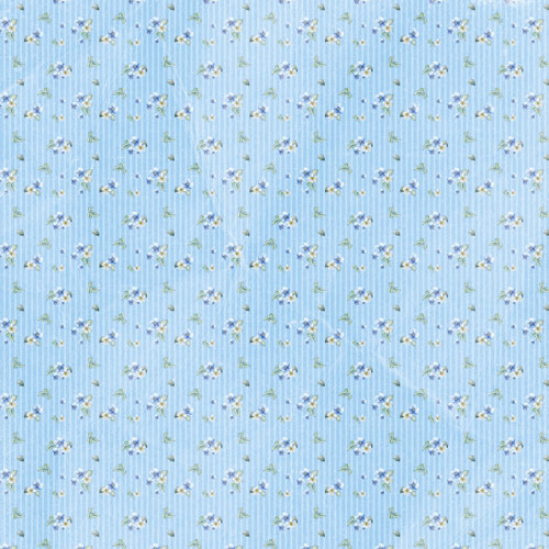 Колекція паперу для скрапбукінгу Shabby baby boy redesign, 30,5 см x 30,5 см, 10 аркушів - фото 9
