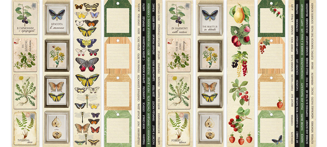 Satz Streifen mit Bildern zur Dekoration Botanisches Tagebuch des Sommers - Fabrika Decoru