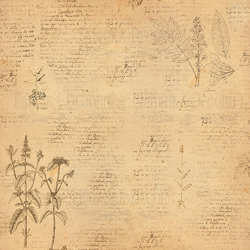 Лист двусторонней бумаги для скрапбукинга Botany summer #17-03 30,5х30,5 см - Фото 0