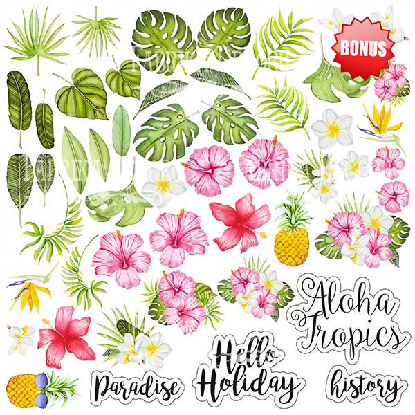 Double-sided scrapbooking paper set Tropical paradise 12"x12", 10 sheets - foto 1